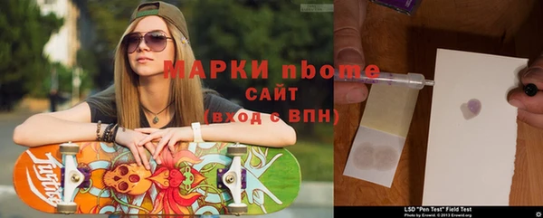 прущие грибы Аркадак