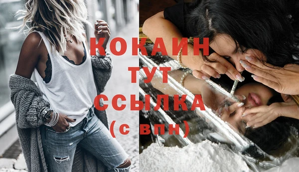 ПСИЛОЦИБИНОВЫЕ ГРИБЫ Заволжск