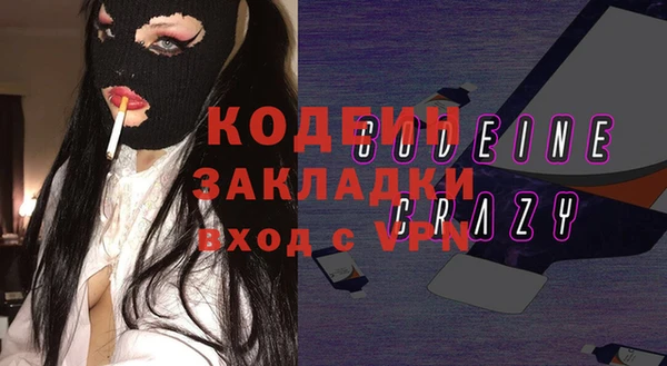 прущие грибы Аркадак