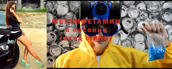 прущие грибы Аркадак