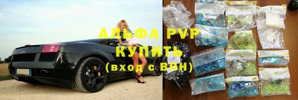 прущие грибы Аркадак
